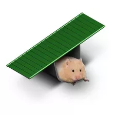 Brinquedo Gangorra Para Hamster - Roedores