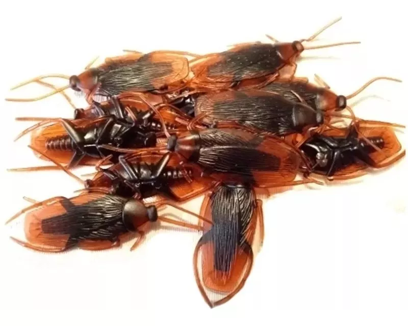 12 Cucarachas Broma Plástico Insectos Tacto Real Halloween