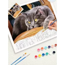 Pintura Por Números Kit De 2 Unidades Completo, Envío Gratis