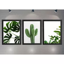 Quadro Decorativo Moldura Com Vidro Cactus Moldura Branca