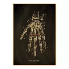 Poster Anatomia Mão E Pulso