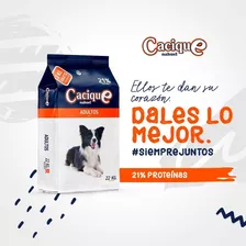 Ración De Perro Cacique Nahuel 20 Kgs + 2 Kgs 