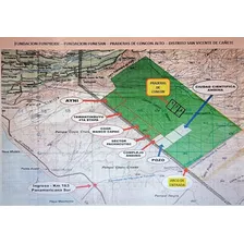 Remato 40 Lotes 920 M2 Agropecuarios Cañete