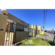 Lindo Depto. Amoblado, En Arriendo( 3 Háb. Y 1 Baño).