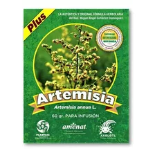 50 Gr Artemisia Annua Autentica De Cultivo Organico