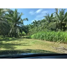 En Venta Hermosa Finca En Parrita