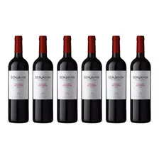 Vino Benjamín Cabernet Sauvignon X6 - Oferta Celler