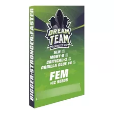 Dream Team Feminized 12 Semillas Bsf Seeds