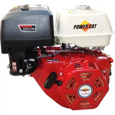 Motor Gasolina Power Cat 15hp Con Marcha Pc190fe 4 Tiempos