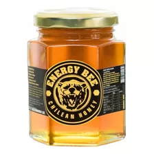 Miel 100% Natural 1 Kg Cochamó Vidrio 