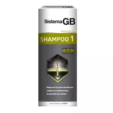 Shampoo 1 Sistema Gb Anticaída Y Anticaspa Hombre 230 Ml 