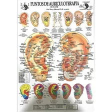 Kit Poster+tarjetas De Auriculoterapia