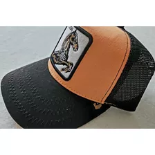 Gorra Tipo Goorin Stallion