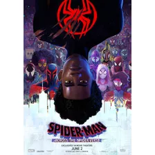 Poster Cine Spider-man: A Través Del Spider-verso