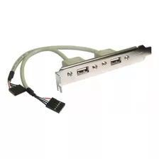 Placa Bracket Slot Usb De 2 Puertos 2.0