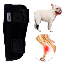 Protector De Artritis Para Perro Férula Para Mascotas Color Negro Talla Xl