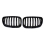 Rejilla Frontal Mate For Bmw X5 E53 X Series BMW X5