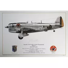 Coleção De Gravuras Históricas P-47 Thunderbolt Senta A Púa!