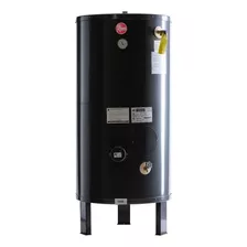 Termotanque Eléctrico Rheem Profesional Com255e Negro 255l 220v