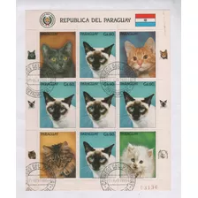 Estampillas De Paraguay Hoja Serie Animales Gatos Año 1989