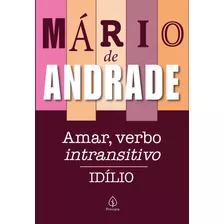 Livro Amar, Verbo Intransitivo