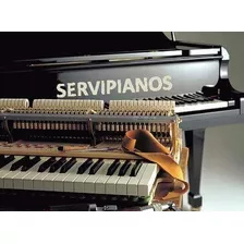 Pianos Afinacion Reparacion Transporte Especializado Experto