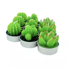 Pack 12 Velas Recuerdo Souvenir Vela Cactus Suculenta 4x5cms