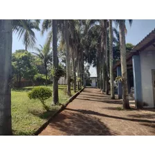 Vende-se Chácara Morro Alto - Limeira 