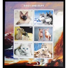 Mauritania Perros Gatos, Bloque 6 Sellos 2016 Mint L9881