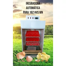 Incubadora Automática Para 162 Huevos 