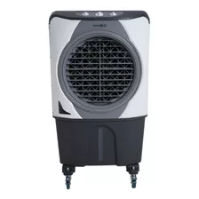 Climatizador Industrial De Ar Umidificador 70 L Portátil Cor Prata 110v
