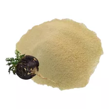 Maca Negra Atomizado Micropulverizado 1 Kg.