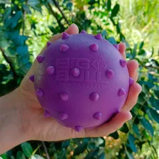 Bola Pet Brinquedo Cachorro Bolinha Anti Stress Dog Cor Cravo 100mm Roxo