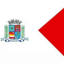 Bandeira Cidade Chácara Mg 1x1,45m