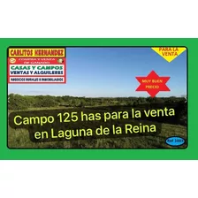 Ref 1003 -campo Establecimiento Agricola Ganadero De 125 Hectareas En Venta En Laguna De La Reina Con Exelentes Aguadas En El Río San Jose - Con Casco Y Galpones - Muy Buen Precio - Pos Financiasion 