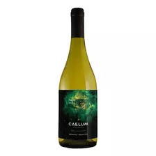 Vino Blanco Fiano . Caelum Gran Reserva ( Mendoza )