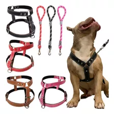 Peitoral De Cachorro Coleira Peitoral Para Cães + Guia 60cm