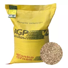 Semilla Wanka Grass Para Pastoreo 1/2kg 