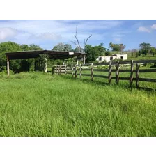 Vendo Rancho En Champoton, Campeche