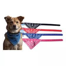 Coleira Para Cachorro, Bandana Pet, Kit Com 2 Cores M