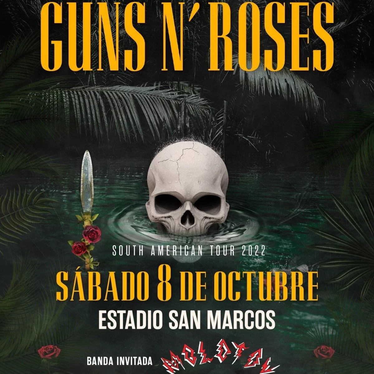 Entrada Zona Campo Guns N' Roses Lima 8 De Octubre 2022