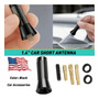 Black Waterproof Car Auto Radio Antenna Am/fm  Hidden Ste Mb