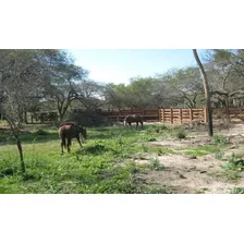 Campo En Venta En Boedo, Formosa