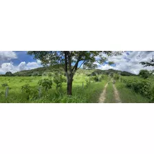 Rancho En Venta De 150 Hectareas, Villaflores, Chiapas.