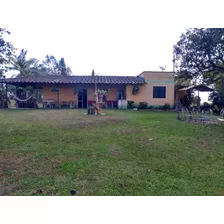 Vendo Finca En Marinilla Sector Altodel Mercado 5.415 M2