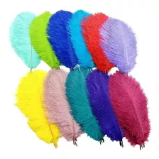 Plumas De Avestruz Coloridas 25 Cm, Lote De 10 Plumas