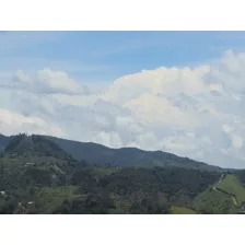 Venta De Finca Vereda Peñolcito - San Vicente Ferrer Antioquia