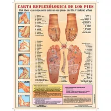 Póster Carta Reflexológica De Los Pies Tamaño Carta