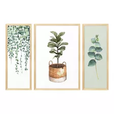 Kit 3 Quadros Trio Conjunto Folhagens Com Plantas De Cozinha Folhas E Plantas Verdes