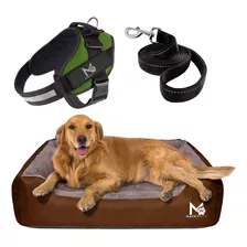 Super Combo / Cama Para Perros 2xl + Pechera Xl + Paseador